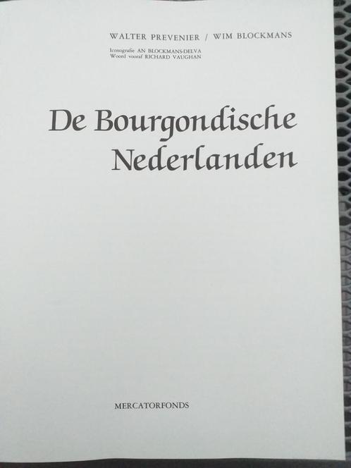 BOEK  BOURGONDISCHE NEDERLANDEN  periode 1380-1530., Boeken, Geschiedenis | Stad en Regio, Gelezen, Ophalen