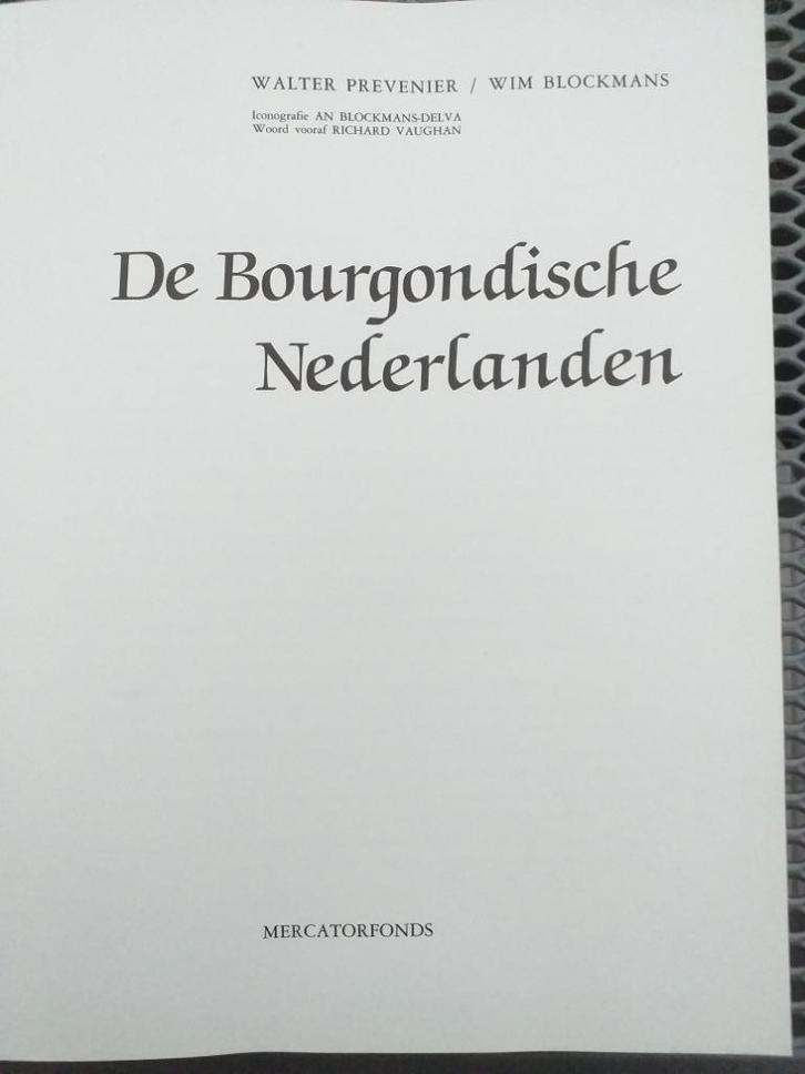 BOEK  BOURGONDISCHE NEDERLANDEN  periode 1380-1530., Boeken, Geschiedenis | Stad en Regio, Gelezen, Ophalen