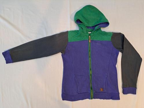 Van Hassels grijs/paars/groene trui maat op etiket 164, Kinderen en Baby's, Kinderkleding | Maat 152, Gebruikt, Jongen, Trui of Vest