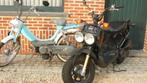 honda zoomer,klasse B ,tel 0496/650959, Fietsen en Brommers, Brommers | Honda, Gebruikt, Overige modellen, Klasse B (45 km/u)