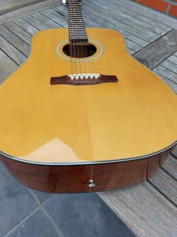 STAGG SW503 S-N Akoestische gitaar 