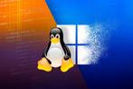 Geen Windows 11? Geen probleem — stap over op Linux!, Ophalen, Windows