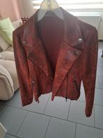 veste taille 40-42 rouge bordeaux, Vêtements | Femmes, Vestes | Hiver, Enlèvement, Comme neuf, Taille 42/44 (L), Autres couleurs