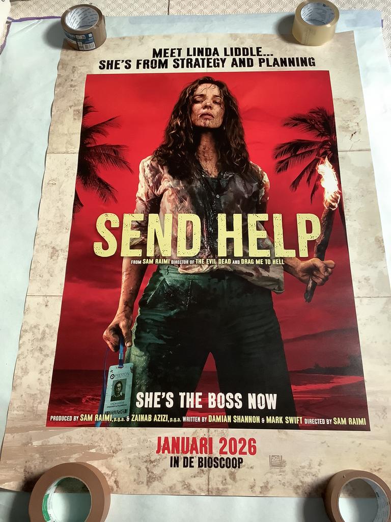 SEND HELP     Filmposter  70-100 cm, Verzamelen, Posters, Ophalen of Verzenden