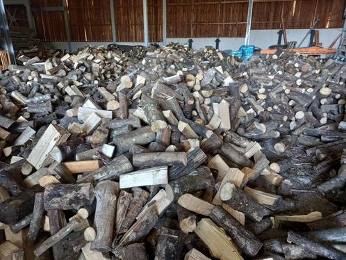 Bois de chauffage Sec - Coupé en 33 cm ou 50 cm refendu, Tuin en Terras, Brandhout, Blokken, Overige houtsoorten, 6 m³ of meer