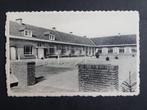 Postkaart Viersel Mariaschool van de Zusters, Ophalen of Verzenden, 1940 tot 1960, Ongelopen, Antwerpen