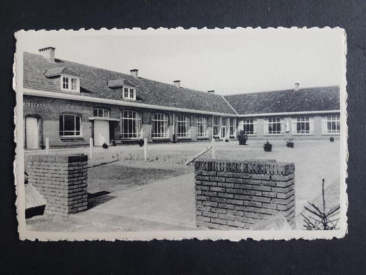 Postkaart Viersel Mariaschool van de Zusters, Verzamelen, Postkaarten | België, Ongelopen, Antwerpen, 1940 tot 1960, Ophalen of Verzenden