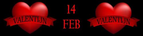 Banner – spandoek - reclame voor Valentijn 14/2, Divers, Drapeaux & Banderoles, Comme neuf, Enlèvement ou Envoi