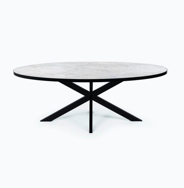 Ovale eettafel, Huis en Inrichting, Tafels | Eettafels, Zo goed als nieuw, 100 tot 150 cm, 200 cm of meer, Vijf personen of meer