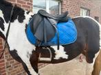 Wintec chair 2000, Dieren en Toebehoren, Ophalen