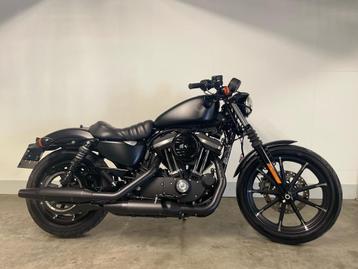 Harley-Davidson SPORTSTER XL883N IRON (bj 2019)