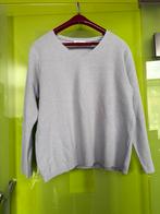 Trui vrouwen celina S maat L, Kleding | Dames, Ophalen of Verzenden, Zo goed als nieuw, Maat 42/44 (L)