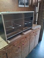 Nieuwe vogelkooien, Dieren en Toebehoren, Ophalen, Nieuw, Hout, Broedkooi of Kweekkooi