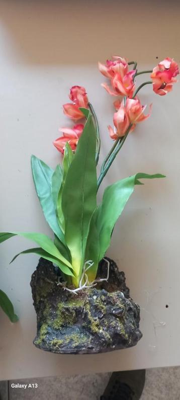 Lucky reptile orchid red large 40cm beschikbaar voor biedingen