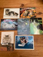 Cartes postales chats vintage, Verzamelen, Postkaarten | Dieren, Ophalen, 1980 tot heden, Hond of Kat