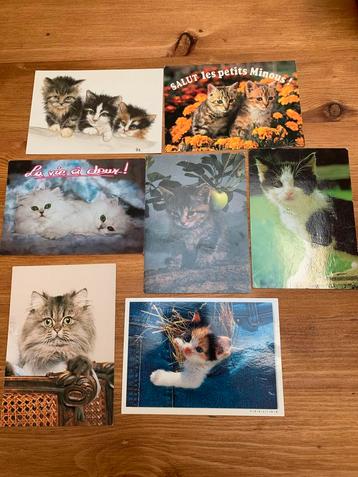 Cartes postales chats vintage  beschikbaar voor biedingen