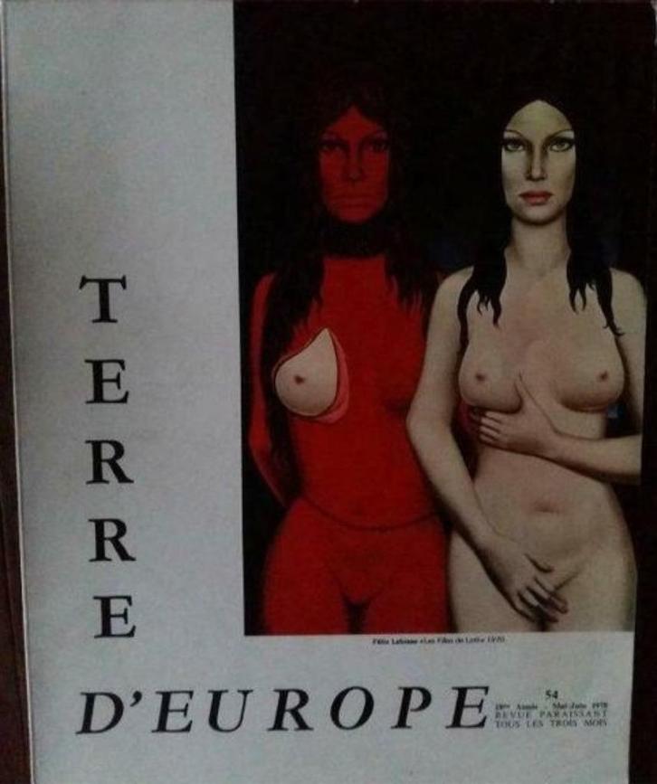 Terre d'Europe n°54, Boeken, Tijdschriften en Kranten, Gelezen, Ophalen of Verzenden