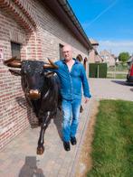 Man zoekt vriendin, Contacten en Berichten