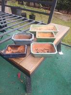 5 bonsai potten, Tuin en Terras, Ophalen