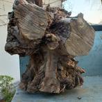 Carotte, souche, prunes, Enlèvement, Utilisé, Autres types