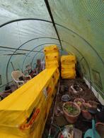 Ursa xps 12 cm, Isolation de toiture, Enlèvement, Mousse rigide (PIR), 12 cm ou plus