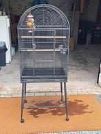Grote vogelkooi nieuw, Ophalen, Vogelkooi