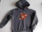 Grijze hoodie Someone ,maat 128, Gebruikt, Jongen of Meisje, Trui of Vest, Ophalen of Verzenden