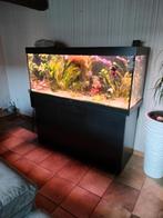 Juwel rio 450 met chihiros smart led, co2 en bestand, Dieren en Toebehoren, Vissen | Aquaria en Toebehoren, Ophalen of Verzenden