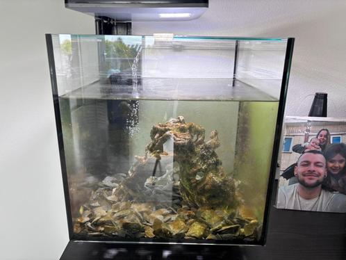 2x Visbak prijs bespreekbaar, Dieren en Toebehoren, Vissen | Aquaria en Toebehoren, Gebruikt, Ophalen
