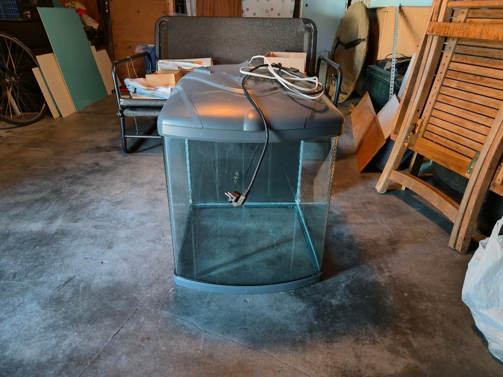 Aquarium, Animaux & Accessoires, Poissons | Aquariums & Accessoires, Enlèvement