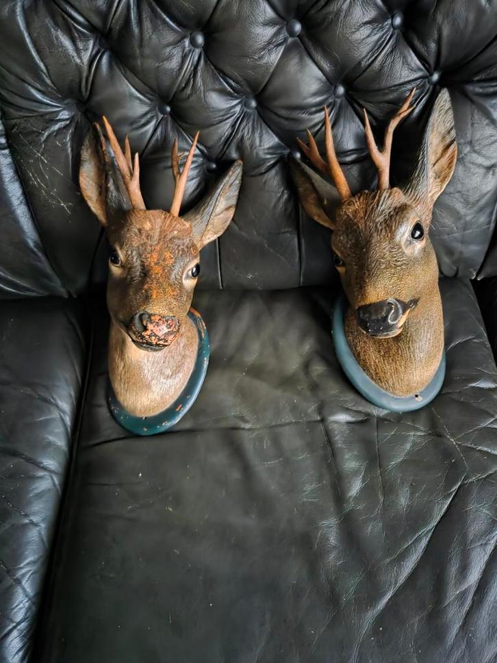 Gezocht aparte stukken black forest of zwarte woud snijwerk, Antiek en Kunst, Kunst | Beelden en Houtsnijwerken, Ophalen