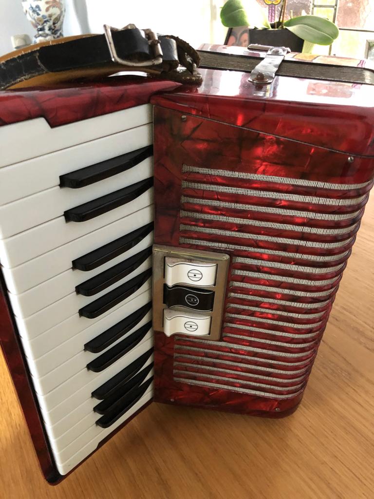 Accordeon Hohner student 48 bass incl draagtas, Avec bretelles, Enlèvement, Utilisé, 48 basses