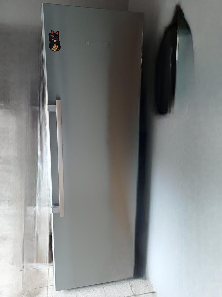 Liebherr koelkast, Elektronische apparatuur, Koelkasten en IJskasten, Ophalen