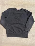 Trui maat 110, Enfants & Bébés, Vêtements enfant | Taille 110, Enlèvement ou Envoi, Besties JBC, Garçon, Pull ou Veste