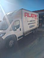 Boxer meubelbak, Particulier, Te koop