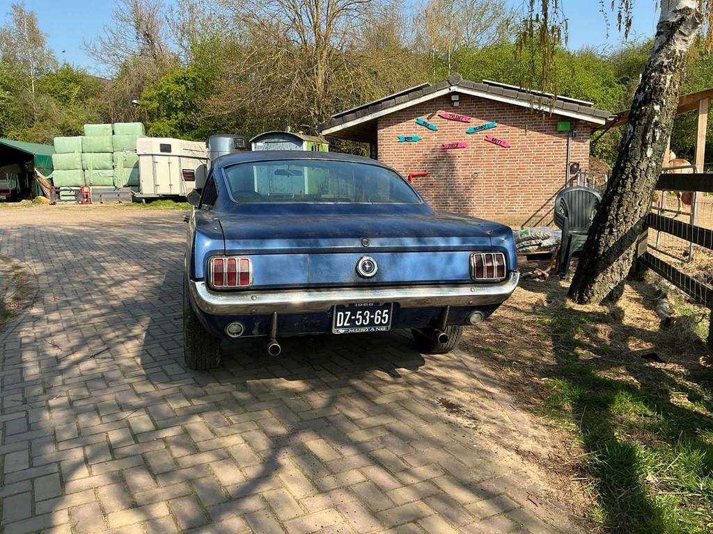 1966 Ford MUSTANG Fastback Personenauto, Auto's, Ford, Bedrijf, Mustang, Open dak, Benzine, Cabriolet, Handgeschakeld, Gebruikt