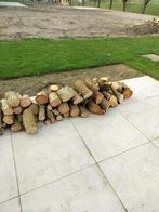 Vers wilgenhout te koop te Elversele/Temse, Tuin en Terras, Brandhout, Minder dan 3 m³, Ophalen, Overige houtsoorten, Blokken