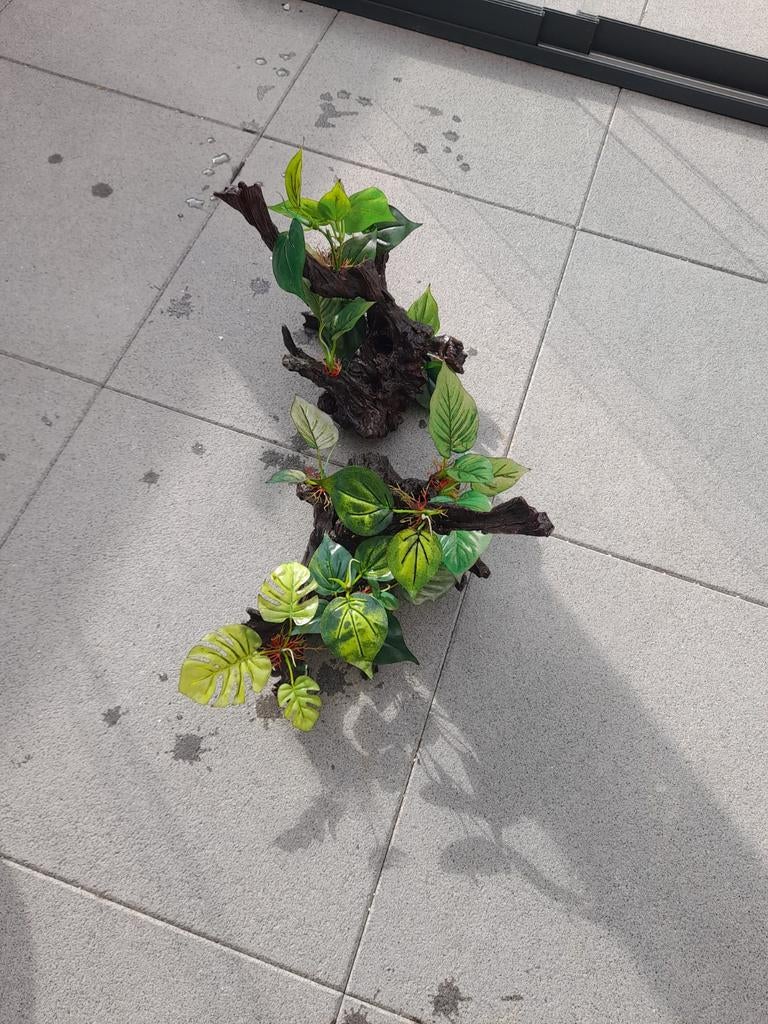 Aquarium te koop, Ophalen, Gebruikt, Verwarming, Tetra