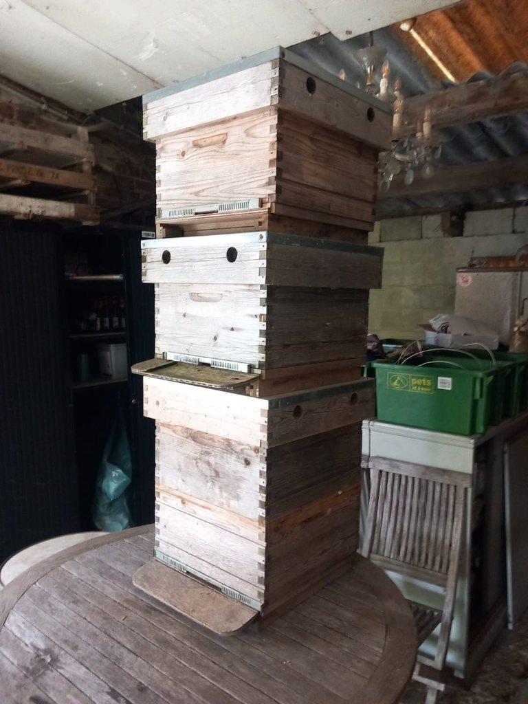 ruches simplex, Animaux & Accessoires, Abeilles