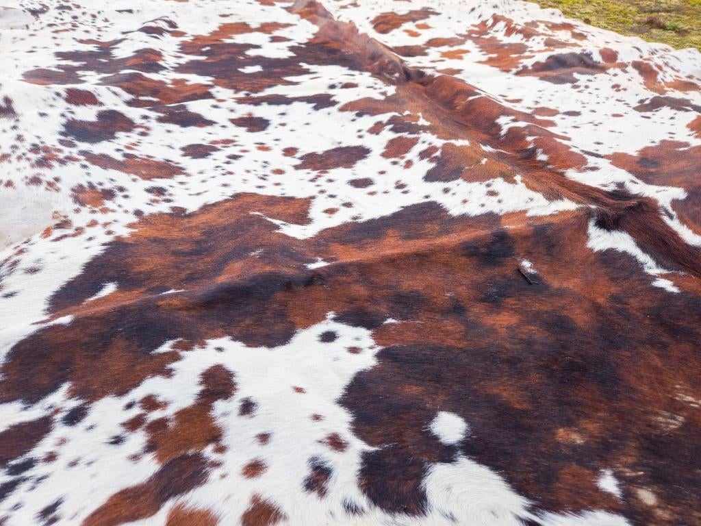 Prachtige Grote Koeienhuid – Bruin/Wit Gevlekt – 220x190 cm, Huis en Inrichting, Stoffering | Tapijten en Vloerkleden, Ophalen