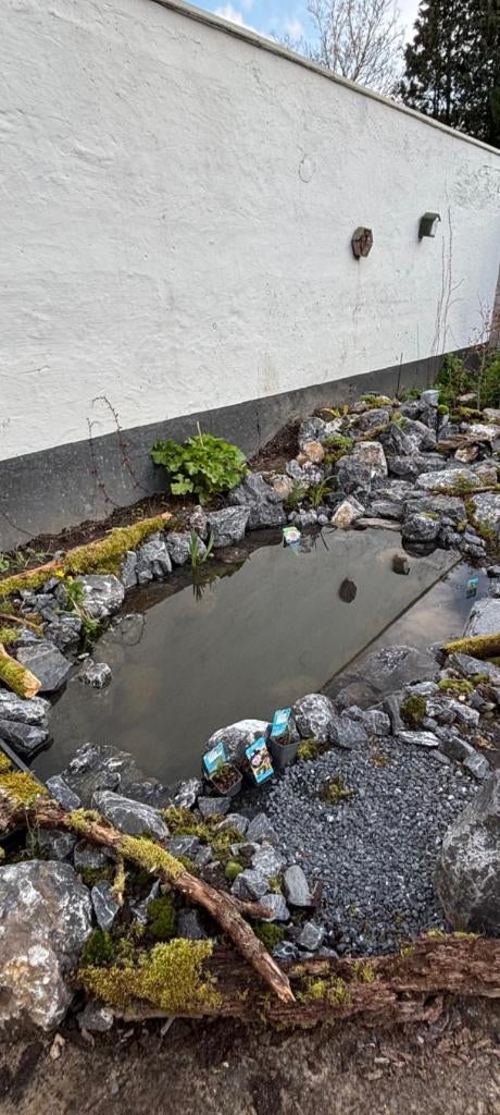 VIJVER + WATERVAL LATEN AANLEGGEN, Tuin en Terras, Ophalen, Nieuw