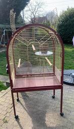 Papegaaienkooi, Dieren en Toebehoren, Ophalen, Gebruikt