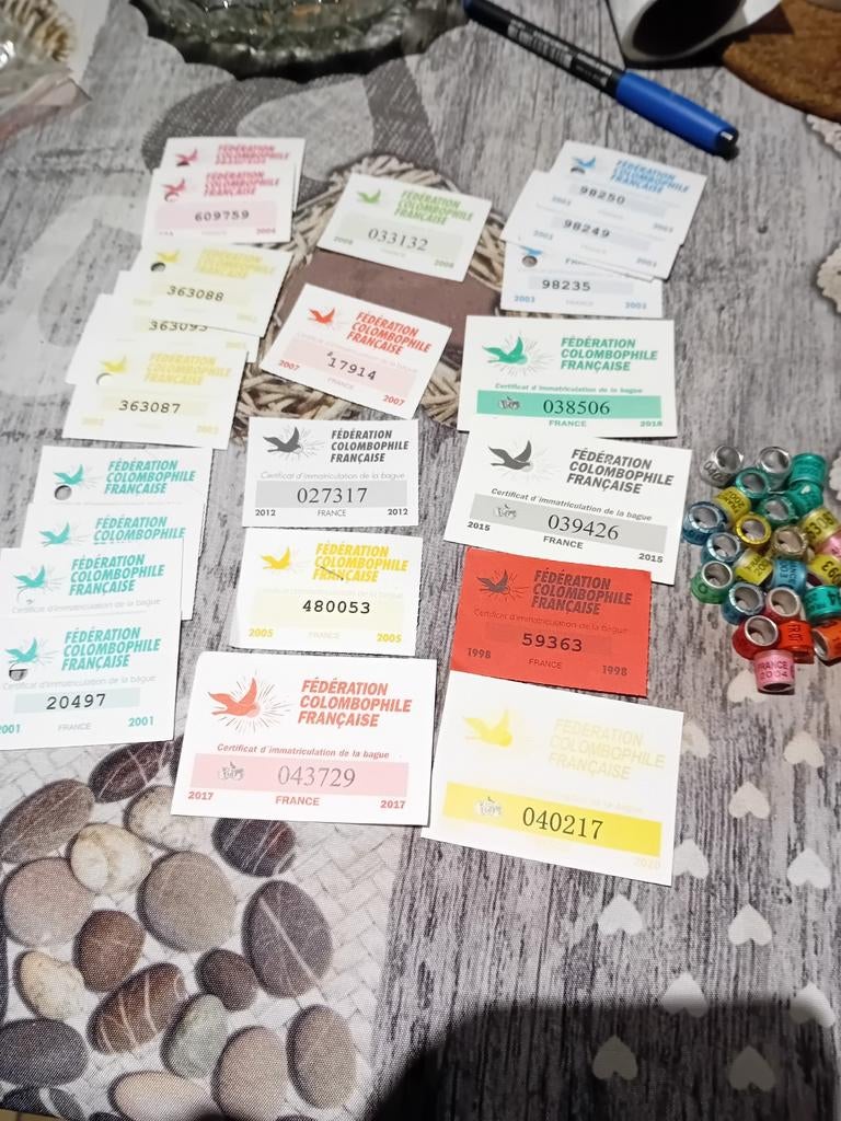 Duivenringen, duiven duivenringduiven