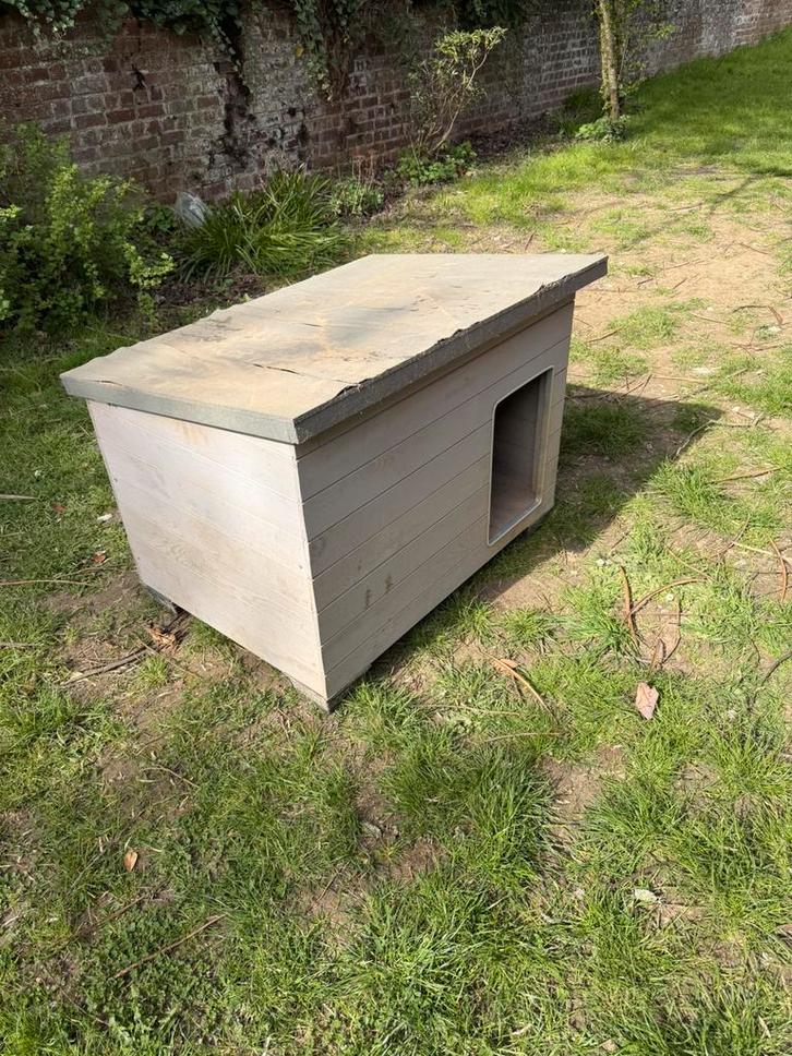 A donner - niche et tapis pour chien moyen, Jardin & Terrasse, Stockage & Armoires de jardin, Utilisé, Enlèvement