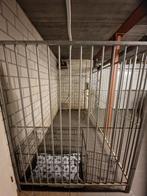 Hondenren binnen/buiten, Enlèvement, Utilisé, 100 cm ou plus, Chenil chien