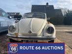 Volkswagen Beetle Cabriolet | 1970 | Route 66 Auctions, Autos, Achat, Entreprise, Autre carrosserie, Essence
