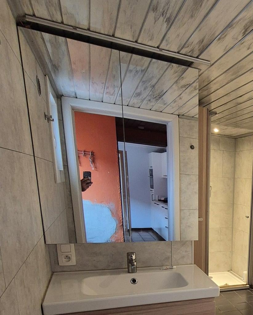 Spiegelkast, Armoire à miroir, Moins de 25 cm, Moins de 100 cm, Enlèvement