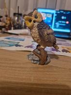 Uil, Ophalen, Nieuw, Dier