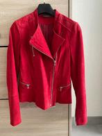 Rood jasje, Kleding | Dames, Truien en Vesten, Ophalen, Nieuw, Maat 34 (XS) of kleiner, C&A