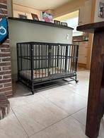 Hondenbench, Dieren en Toebehoren, Hondenbenches, Ophalen, Zo goed als nieuw